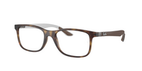 Ray Ban RX8903 Glasses